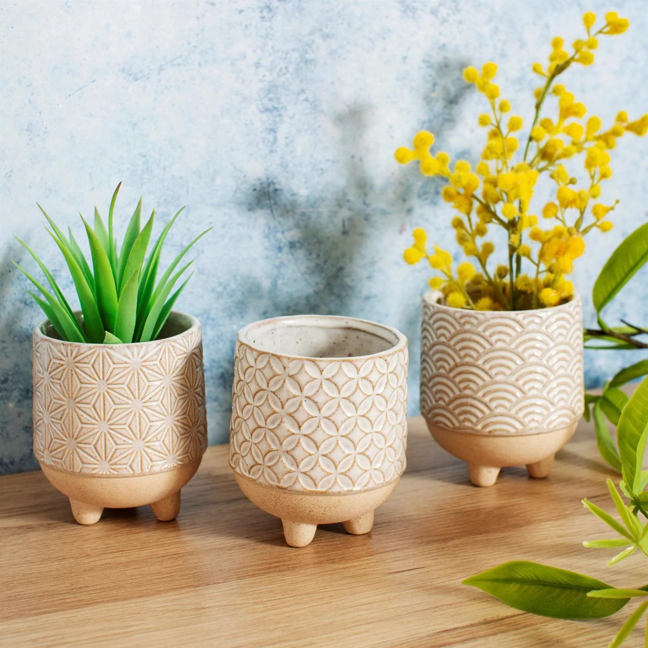 3 Japanese Inspired Stoneware Indoor Planters with Succulent Plants – The Art of Succulents