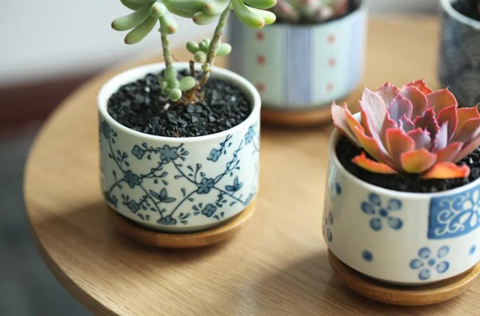 japan potted plant | Wood planters, Indoor planters, Planters